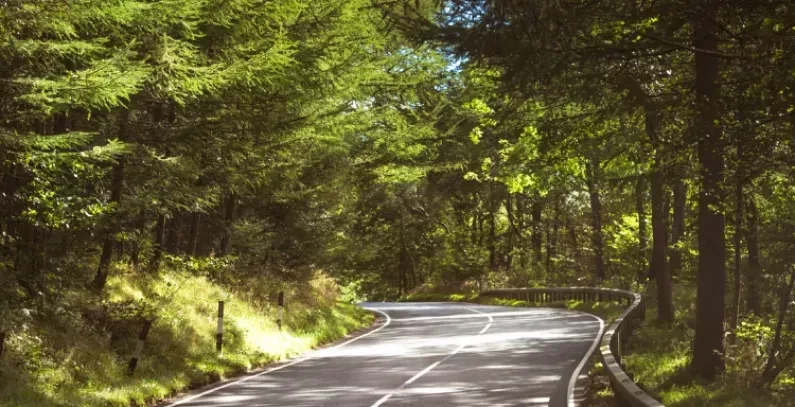 Winding UK country road